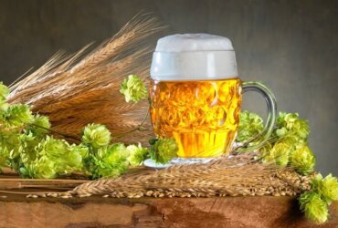 kufel piwa otoczony kłosami jęczmienia i szyszkami chmielu