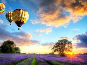 balony na ogrzewane powietrze lecące o zachodzie słońca nad wrzosowiskiem
