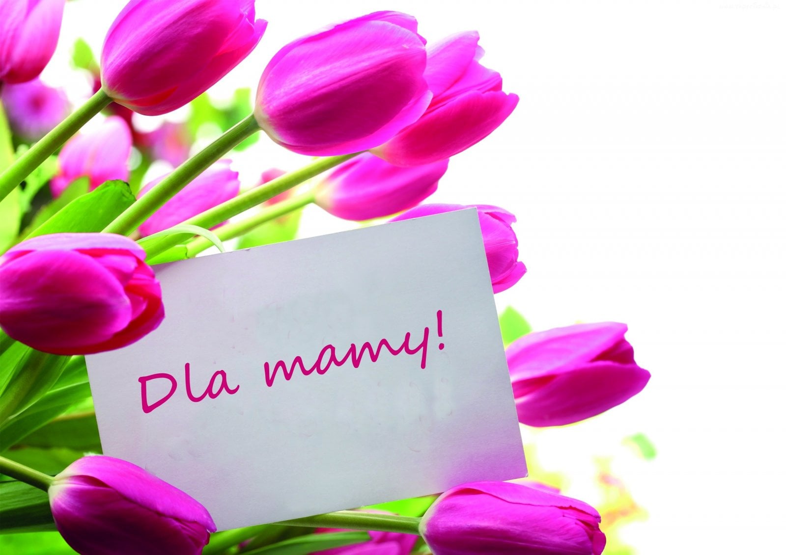 Kwiaty dla mamy
