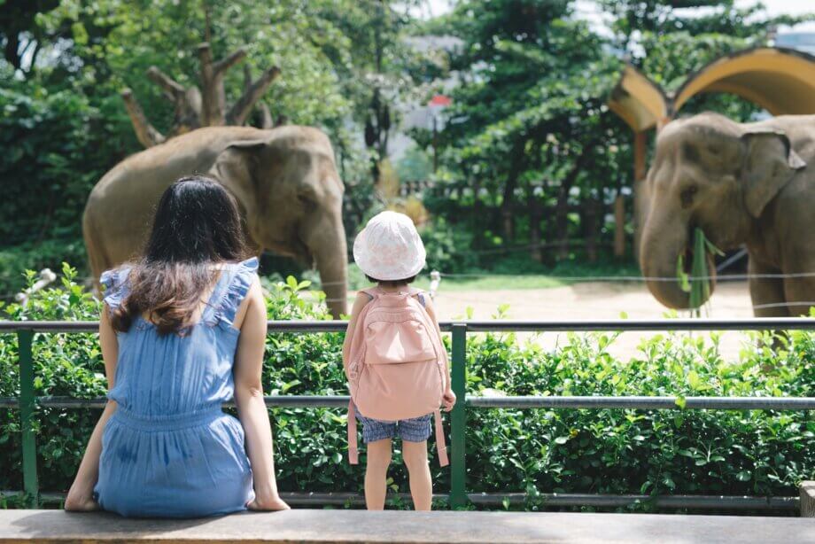 Mama z córką podziwiające dwa słonie w ZOO