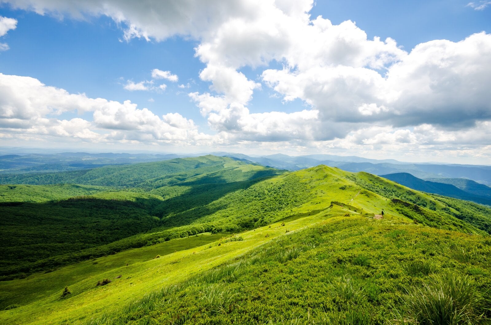 Wiosenne Bieszczady