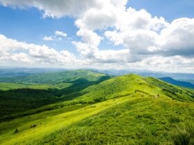 Wiosenne Bieszczady